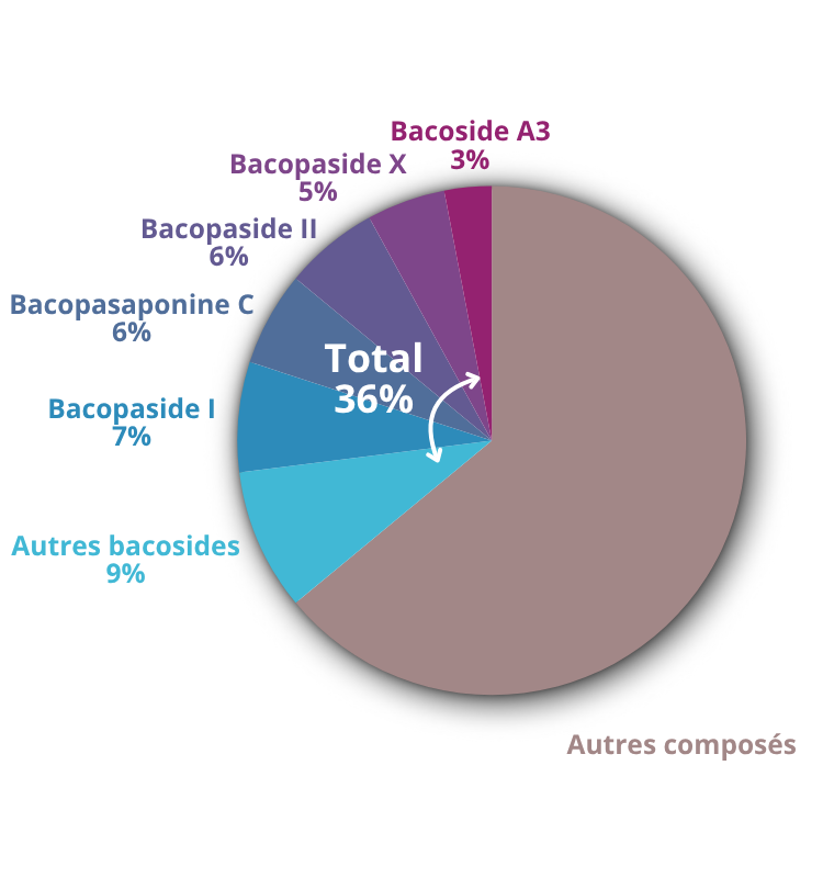 Teneur en bacosides et bacopasaponines de l’extrait purifié de Bacopa monnieri